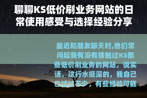 聊聊KS低价刷业务网站的日常使用感受与选择经验分享