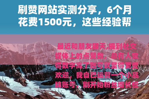 刷赞网站实测分享，6个月花费1500元，这些经验帮你避坑