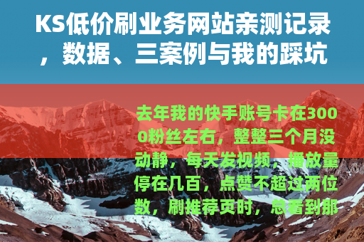 KS低价刷业务网站亲测记录，数据、三案例与我的踩坑日记