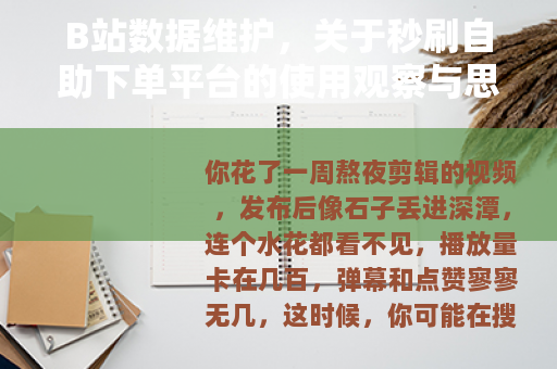 B站数据维护，关于秒刷自助下单平台的使用观察与思考
