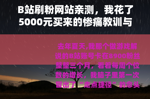 B站刷粉网站亲测，我花了5000元买来的惨痛教训与数据复盘