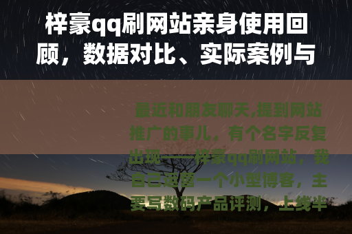 梓豪qq刷网站亲身使用回顾，数据对比、实际案例与踩坑过程分享