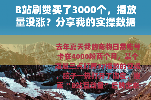 B站刷赞买了3000个，播放量没涨？分享我的实操数据与反思