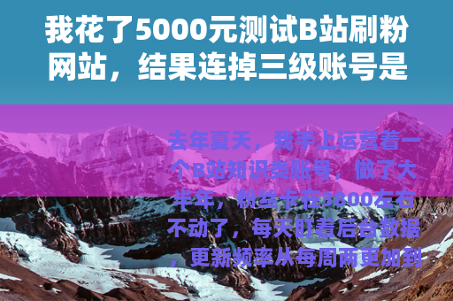 我花了5000元测试B站刷粉网站，结果连掉三级账号是什么体验？
