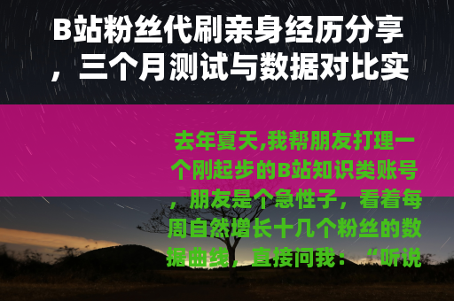 B站粉丝代刷亲身经历分享，三个月测试与数据对比实录