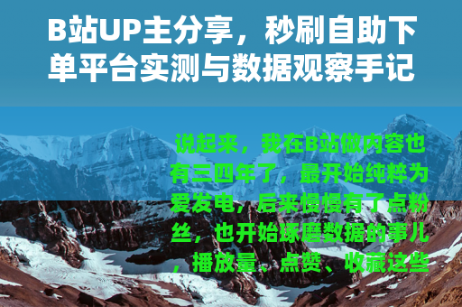 B站UP主分享，秒刷自助下单平台实测与数据观察手记