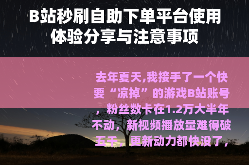 B站秒刷自助下单平台使用体验分享与注意事项