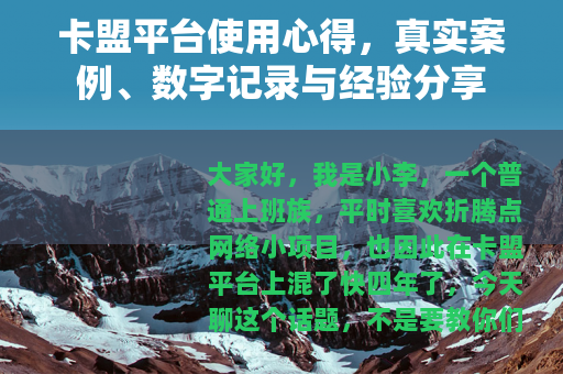 卡盟平台使用心得，真实案例、数字记录与经验分享