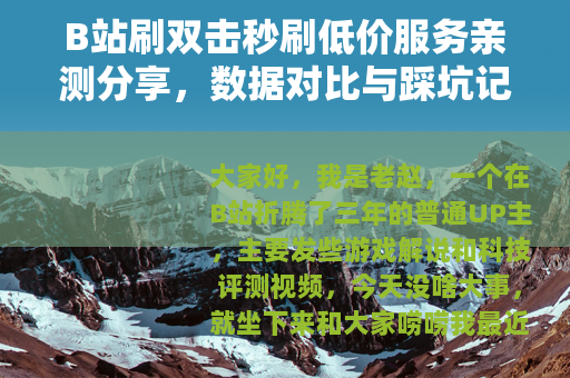 B站刷双击秒刷低价服务亲测分享，数据对比与踩坑记录全解析