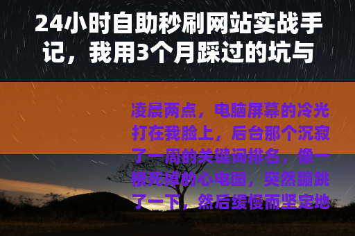 24小时自助秒刷网站实战手记，我用3个月踩过的坑与数据复盘