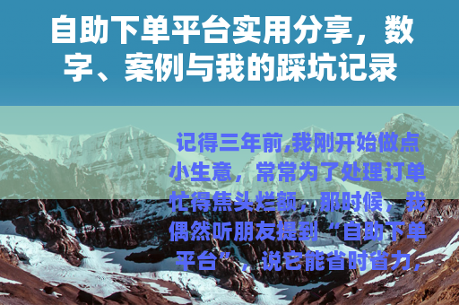 自助下单平台实用分享，数字、案例与我的踩坑记录