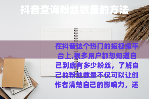 抖音查询粉丝数量的方法