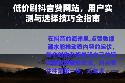 低价刷抖音赞网站，用户实测与选择技巧全指南