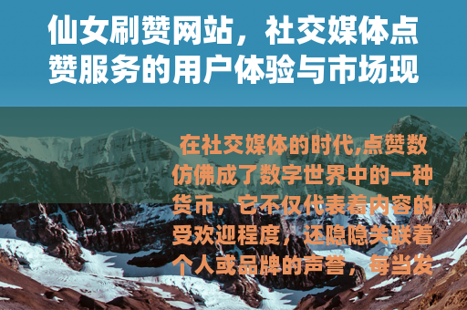 仙女刷赞网站，社交媒体点赞服务的用户体验与市场现象分析