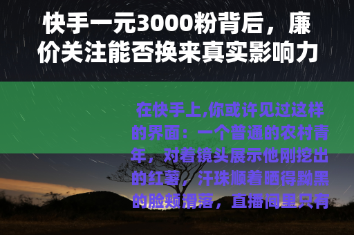 快手一元3000粉背后，廉价关注能否换来真实影响力？