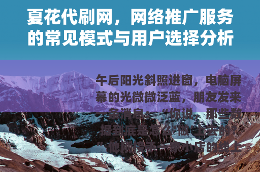 夏花代刷网，网络推广服务的常见模式与用户选择分析