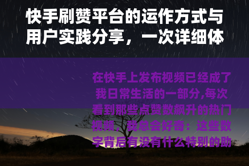 快手刷赞平台的运作方式与用户实践分享，一次详细体验记录