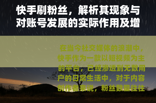 快手刷粉丝，解析其现象与对账号发展的实际作用及增长策略