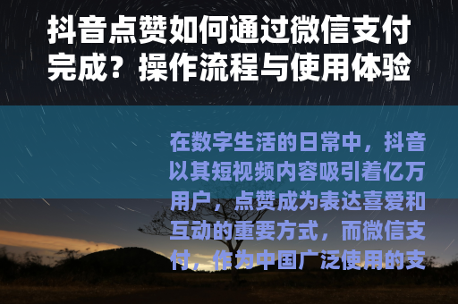 抖音点赞如何通过微信支付完成？操作流程与使用体验详细解析