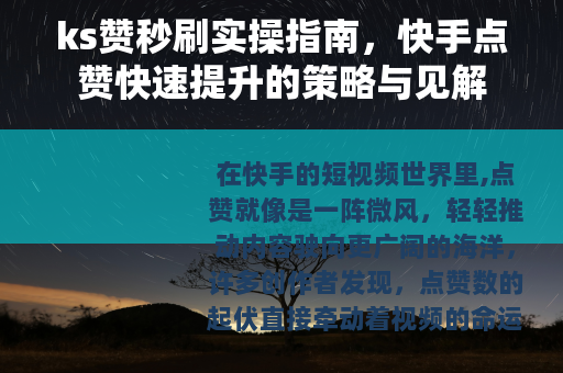 ks赞秒刷实操指南，快手点赞快速提升的策略与见解