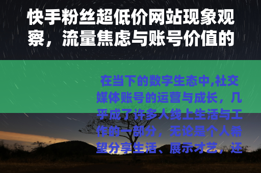 快手粉丝超低价网站现象观察，流量焦虑与账号价值的实际考量