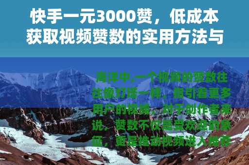 快手一元3000赞，低成本获取视频赞数的实用方法与市场分析