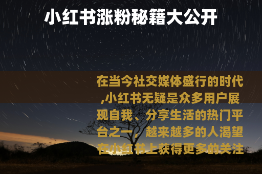 小红书涨粉秘籍大公开