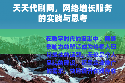 天天代刷网，网络增长服务的实践与思考