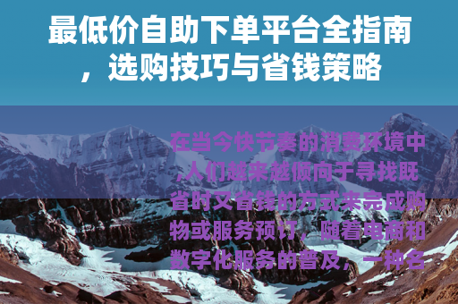 最低价自助下单平台全指南，选购技巧与省钱策略
