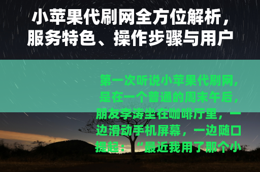 小苹果代刷网全方位解析，服务特色、操作步骤与用户真实体验分享
