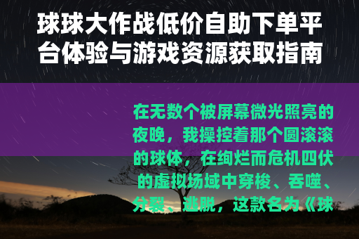 球球大作战低价自助下单平台体验与游戏资源获取指南