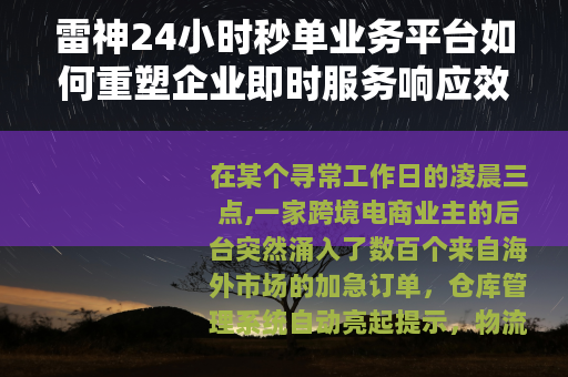 雷神24小时秒单业务平台如何重塑企业即时服务响应效率