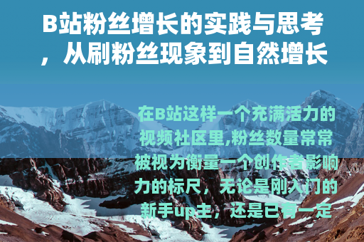 B站粉丝增长的实践与思考，从刷粉丝现象到自然增长的策略分享