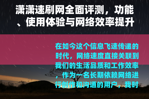潇潇速刷网全面评测，功能、使用体验与网络效率提升指南