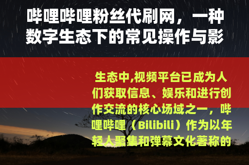 哔哩哔哩粉丝代刷网，一种数字生态下的常见操作与影响浅谈
