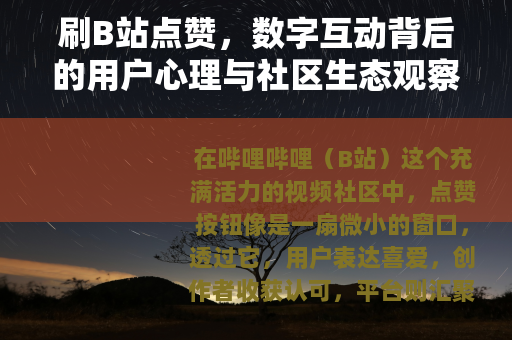 刷B站点赞，数字互动背后的用户心理与社区生态观察