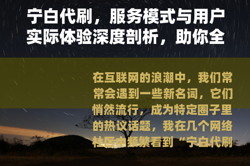 宁白代刷，服务模式与用户实际体验深度剖析，助你全面了解