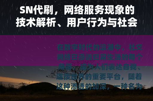 SN代刷，网络服务现象的技术解析、用户行为与社会效应深度探讨