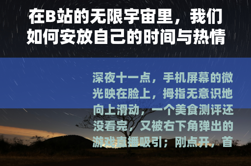 在B站的无限宇宙里，我们如何安放自己的时间与热情