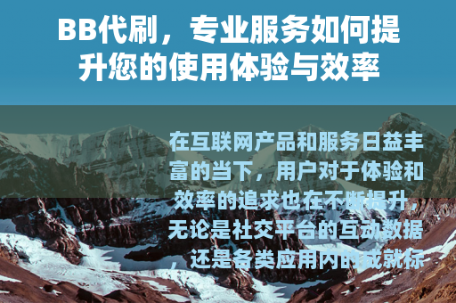 BB代刷，专业服务如何提升您的使用体验与效率