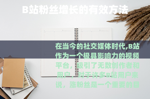 B站粉丝增长的有效方法