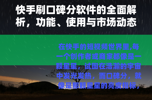 快手刷口碑分软件的全面解析，功能、使用与市场动态