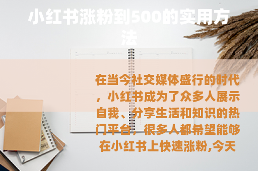 小红书涨粉到500的实用方法