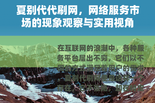 夏别代代刷网，网络服务市场的现象观察与实用视角