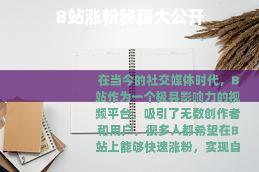 B站涨粉秘籍大公开