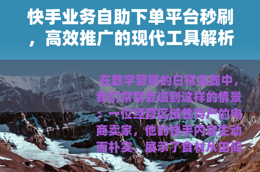 快手业务自助下单平台秒刷，高效推广的现代工具解析