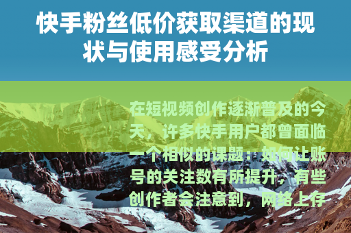 快手粉丝低价获取渠道的现状与使用感受分析