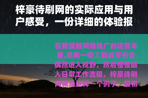 梓豪待刷网的实际应用与用户感受，一份详细的体验报告