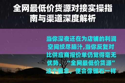 全网最低价货源对接实操指南与渠道深度解析