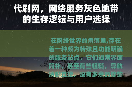 代刷网，网络服务灰色地带的生存逻辑与用户选择